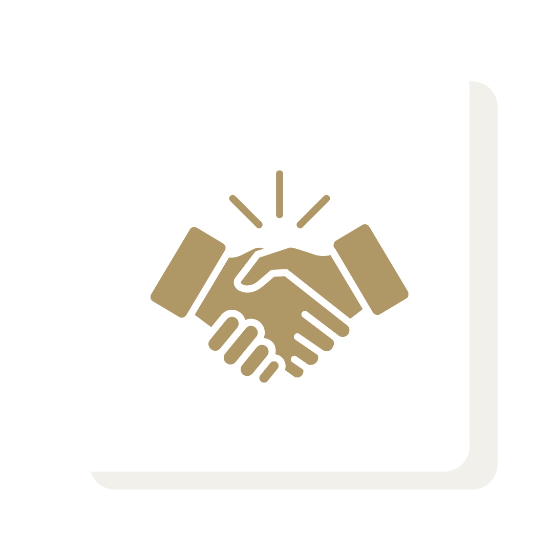 Professional Services